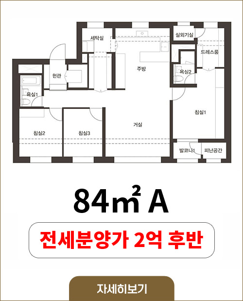 84A타입, 전세분양가 2억 후반