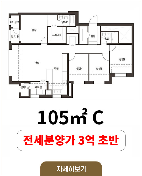 105C타입, 전세분양가 3억 초반